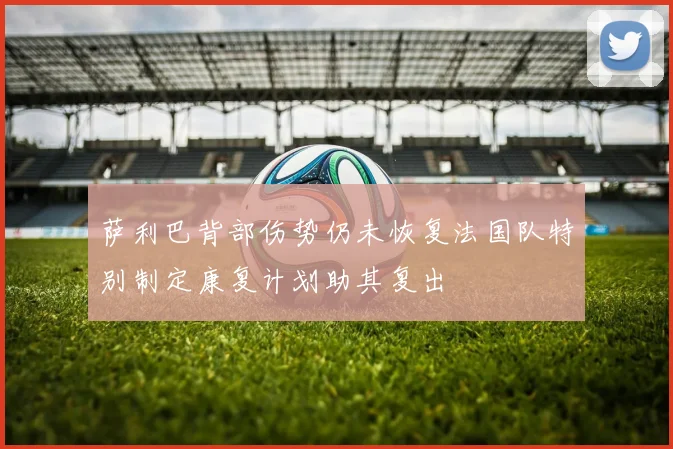 萨利巴背部伤势仍未恢复法国队特别制定康复计划助其复出