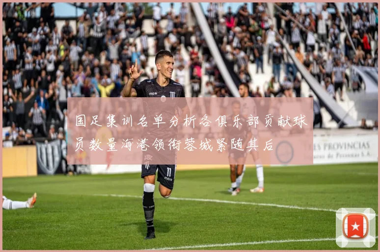 国足集训名单分析各俱乐部贡献球员数量海港领衔蓉城紧随其后