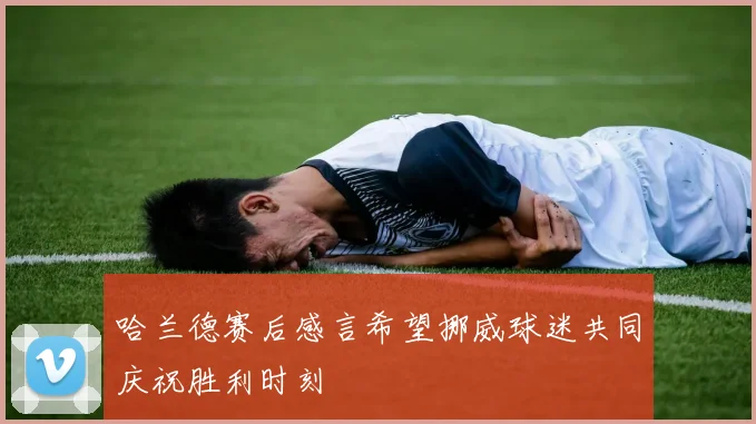 哈兰德赛后感言希望挪威球迷共同庆祝胜利时刻